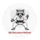 BJJ Raccoons Herford logo