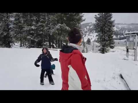 Vlog #19 - Yellowstone through to Seattle