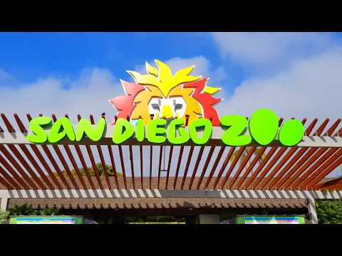 Vlog #5 - San Diego Day 21